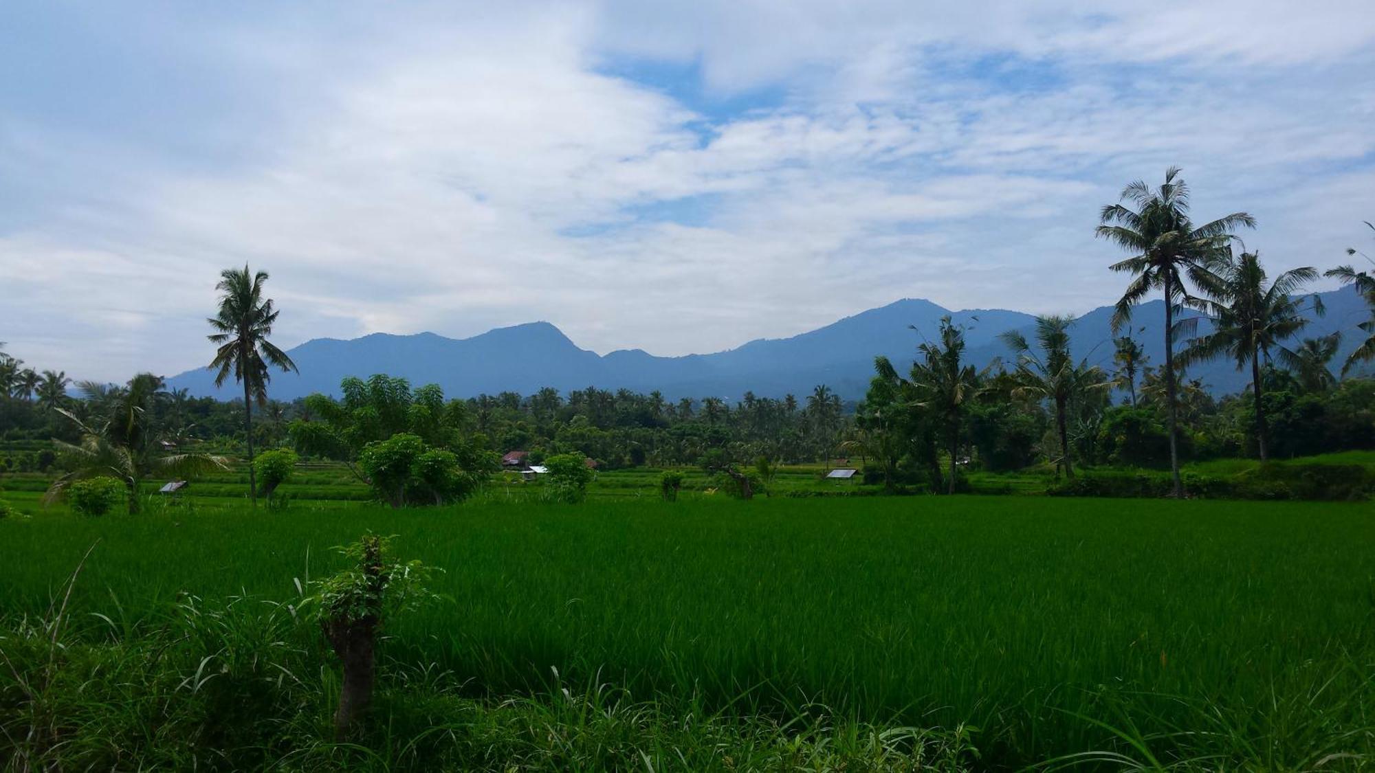 Pondok Manis Singaraja  Exterior photo